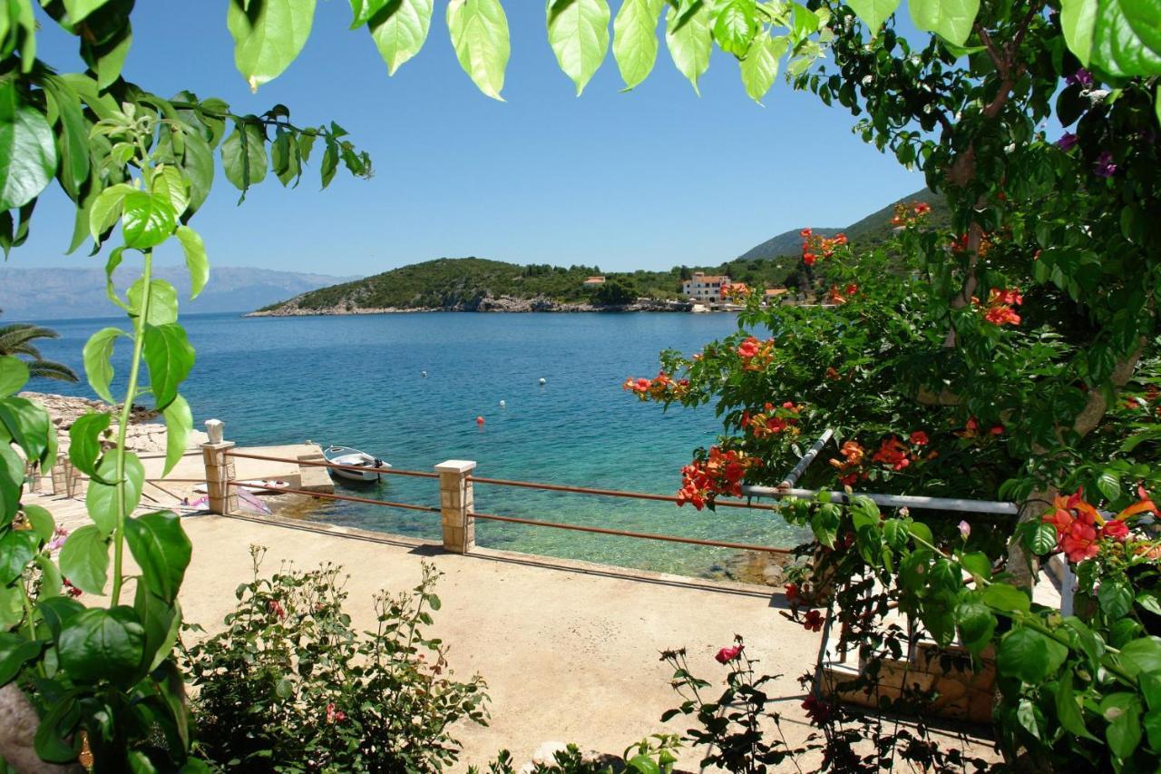Apartman Nikola 5m From Beach Selca kod Bogomolja